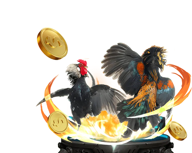 Nghiên cứu thông tin trận đấu